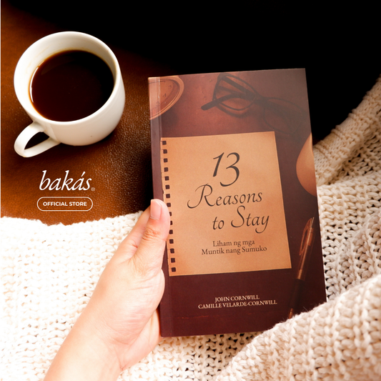 13 Reasons To Stay Book